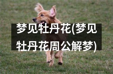 <h3>梦见牡丹花(梦见牡丹花周公解梦)