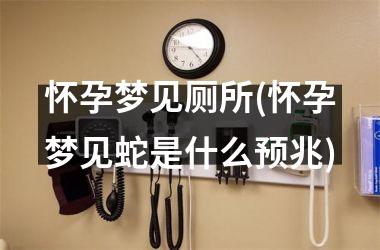 <h3>怀孕梦见厕所(怀孕梦见蛇是什么预兆)