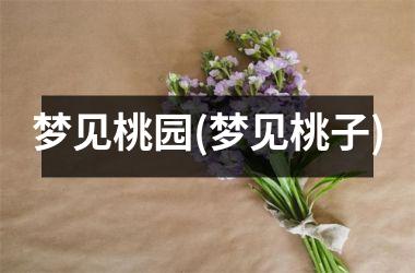 <h3>梦见桃园(梦见桃子)