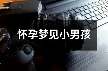 <h3>怀孕梦见小男孩