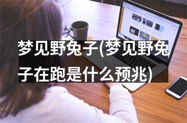 梦见野兔子(梦见野兔子在跑是什么预兆)