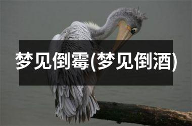 <h3>梦见倒霉(梦见倒酒)