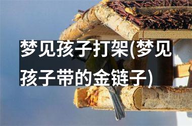 <h3>梦见孩子打架(梦见孩子带的金链子)
