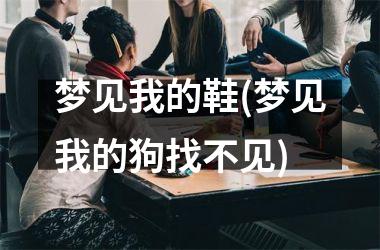 <h3>梦见我的鞋(梦见我的狗找不见)