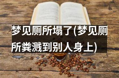 <h3>梦见厕所塌了(梦见厕所粪溅到别人身上)