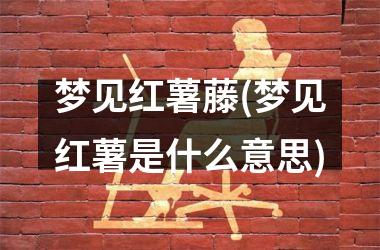 <h3>梦见红薯藤(梦见红薯是什么意思)