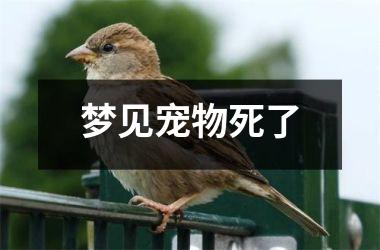 梦见宠物死了