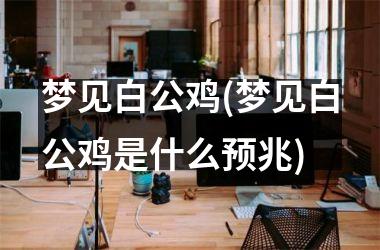 <h3>梦见白公鸡(梦见白公鸡是什么预兆)