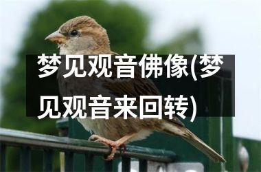 梦见观音佛像(梦见观音来回转)