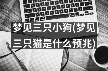梦见三只小狗(梦见三只猫是什么预兆)