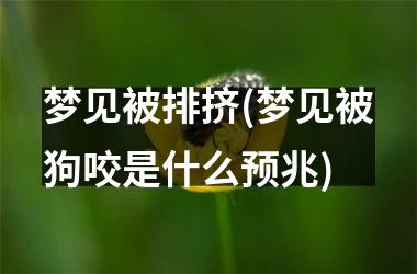 <h3>梦见被排挤(梦见被狗咬是什么预兆)