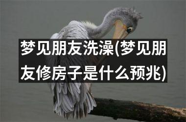 梦见朋友洗澡(梦见朋友修房子是什么预兆)