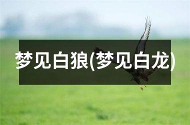 梦见白狼(梦见白龙)