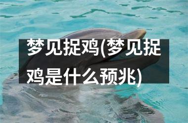 梦见捉鸡(梦见捉鸡是什么预兆)