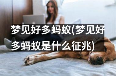 梦见好多蚂蚁(梦见好多蚂蚁是什么征兆)