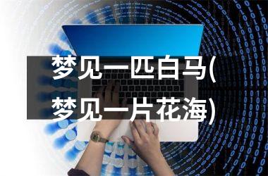 <h3>梦见一匹白马(梦见一片花海)