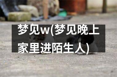 梦见w(梦见晚上家里进陌生人)