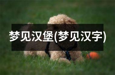<h3>梦见汉堡(梦见汉字)