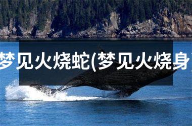 <h3>梦见火烧蛇(梦见火烧身)