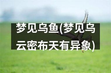 梦见乌鱼(梦见乌云密布天有异象)