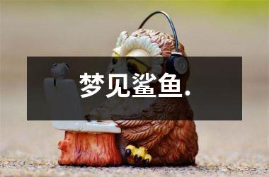<h3>梦见鲨鱼.