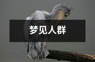 <h3>梦见人群