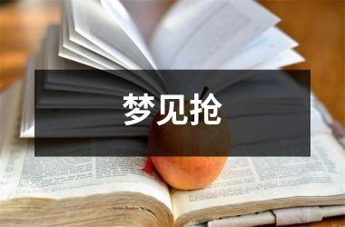 <h3>梦见抢