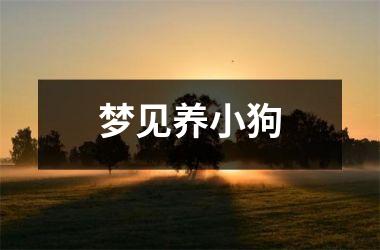 <h3>梦见养小狗