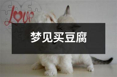 <h3>梦见买豆腐