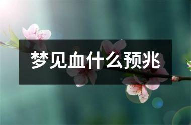 <h3>梦见血什么预兆