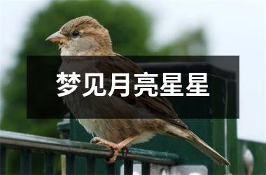 梦见月亮星星
