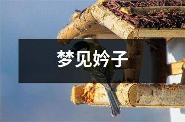 梦见妗子