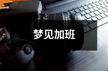<h3>梦见加班