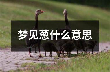 <h3>梦见葱什么意思
