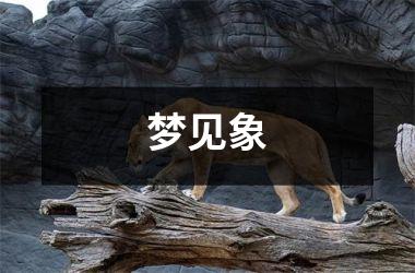 <h3>梦见象