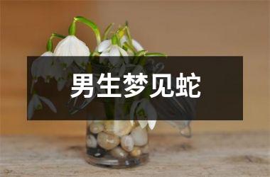 <h3>男生梦见蛇