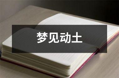 <h3>梦见动土
