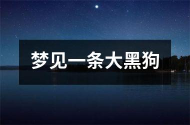 <h3>梦见一条大黑狗