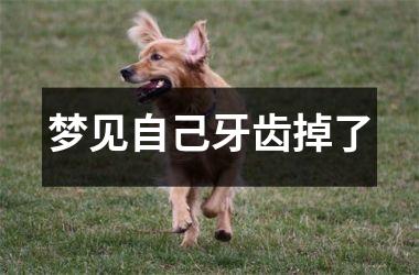 梦见自己牙齿掉了