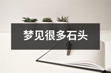 <h3>梦见很多石头