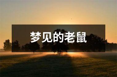 <h3>梦见的老鼠
