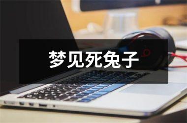 <h3>梦见死兔子