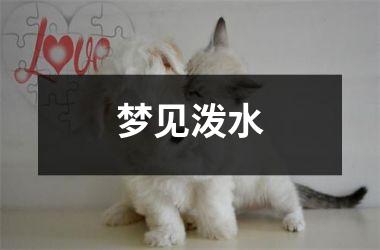 <h3>梦见泼水