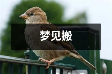 <h3>梦见搬