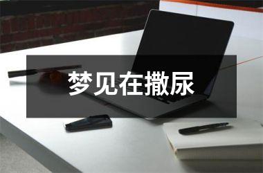 <h3>梦见在撒尿