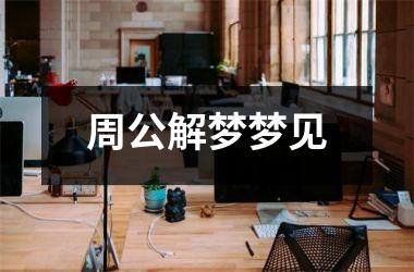 <h3>周公解梦梦见