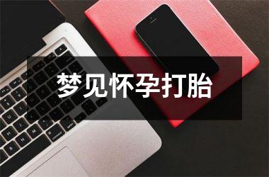 <h3>梦见怀孕打胎