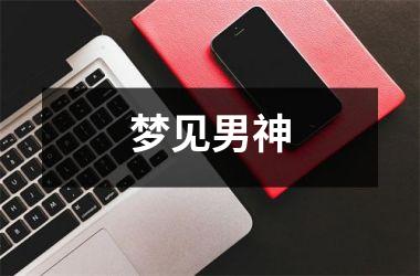 <h3>梦见男神