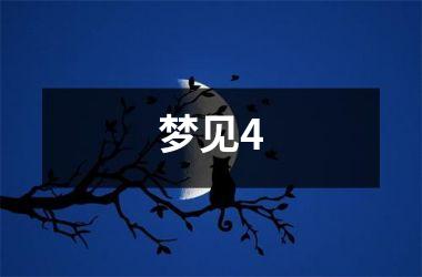 <h3>梦见4