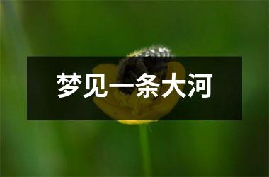 梦见一条大河
